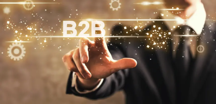 B2B Portal Development