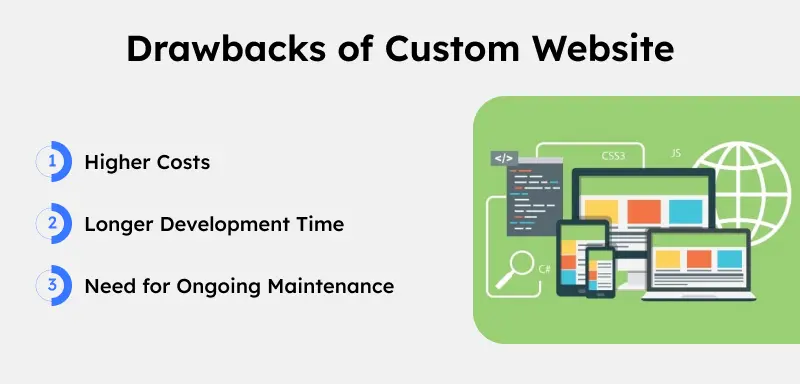 Drawbacks of Custom Website
